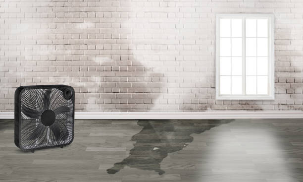 Trusted Gordonsville, VA Water damage restoration Experts