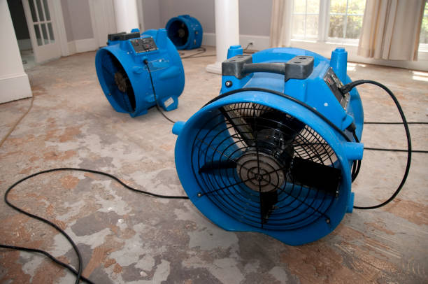 Best Water damage contractors near me  in Gordonsville, VA