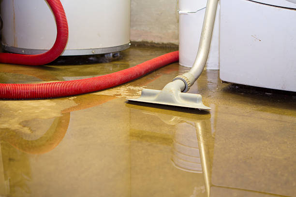 Best Fire Damage Restoration  in Gordonsville, VA