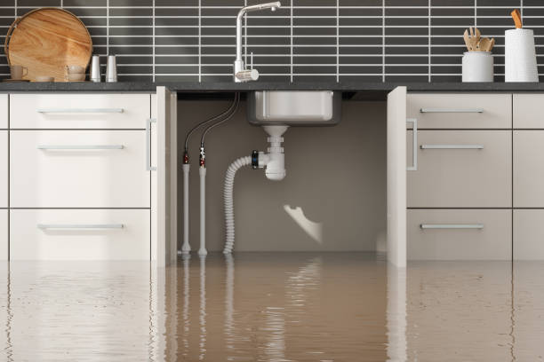 Best Flooded house restoration  in Gordonsville, VA