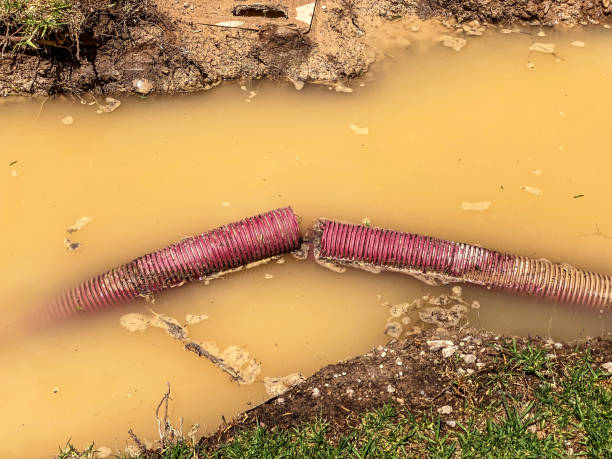 Best Water damage restoration near me  in Gordonsville, VA